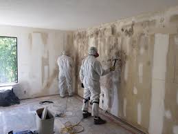 Best Basement Mold Removal in USA